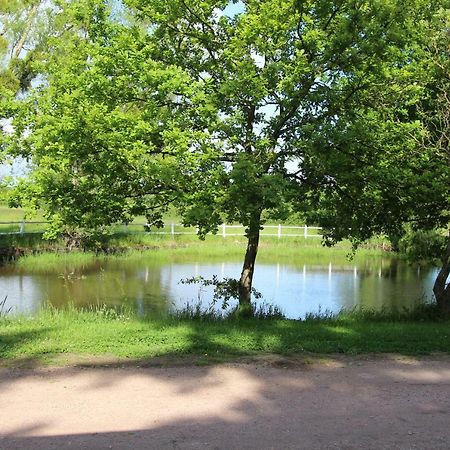 Le Domaine Du Mijarnier Bed & Breakfast Montbeugny Bagian luar foto
