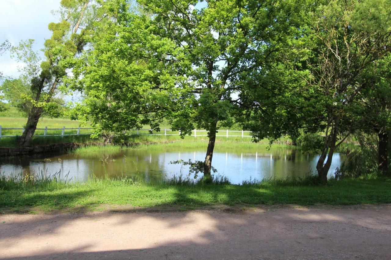 Le Domaine Du Mijarnier Bed & Breakfast Montbeugny Bagian luar foto
