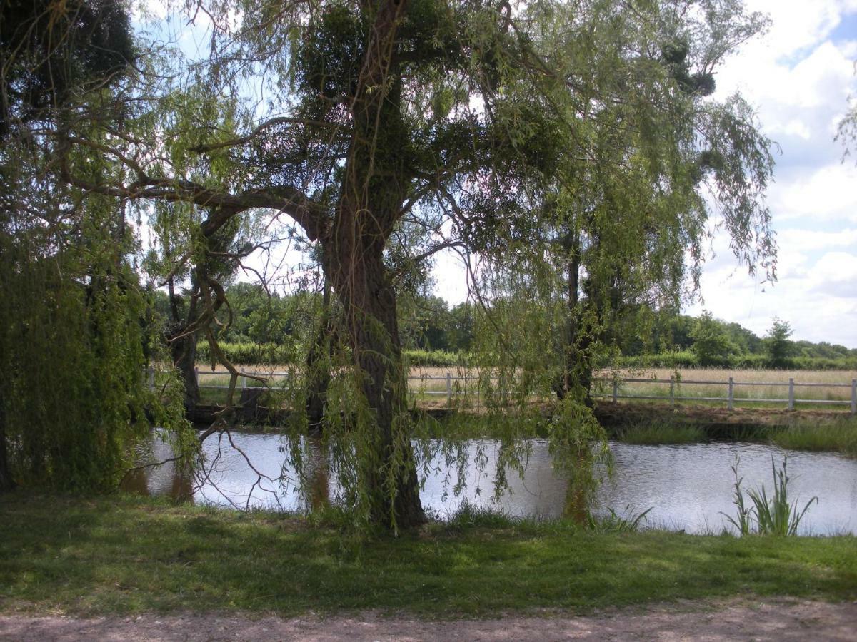 Le Domaine Du Mijarnier Bed & Breakfast Montbeugny Bagian luar foto