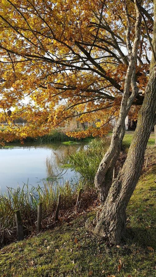 Le Domaine Du Mijarnier Bed & Breakfast Montbeugny Bagian luar foto